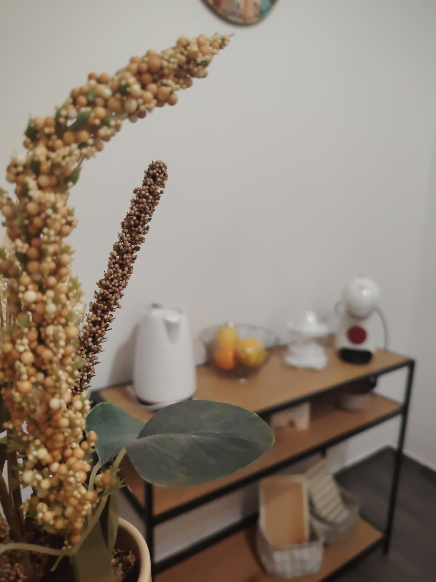 Apartman Hric -50M Od Plaze- Mali Lošinj Kültér fotó